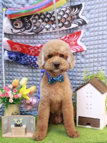 20230502ジョンくん